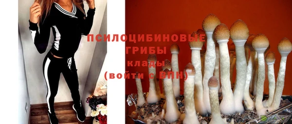молекула духа Балабаново