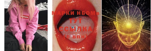 ГАЛЛЮЦИНОГЕННЫЕ ГРИБЫ Баксан