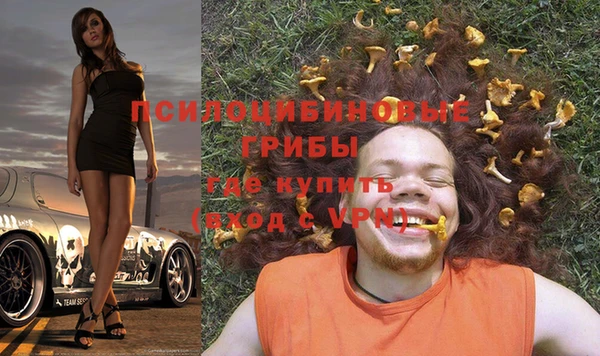 СК Балахна